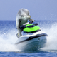 Image for article titled Scientists Find Dolphins Only Other Mammals That Jet-Ski For Pleasure